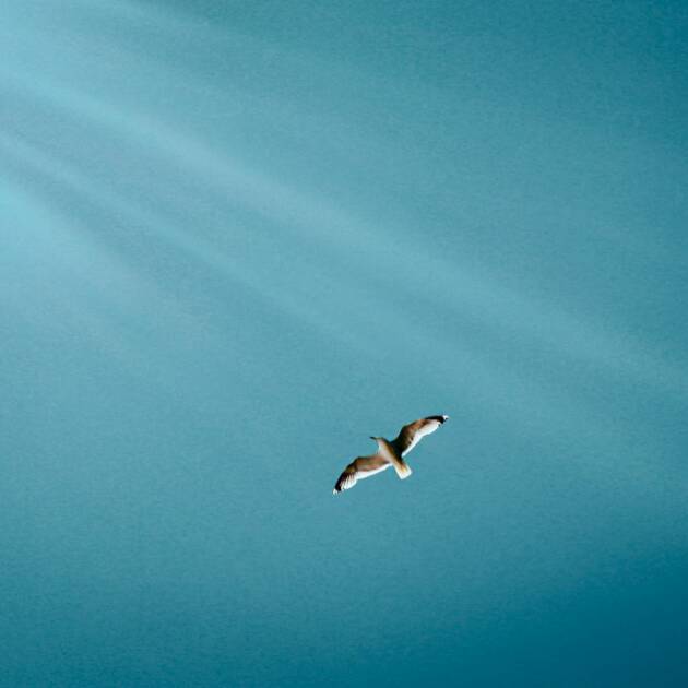 Forfait accompagnement individuel (1 à 4 mois)