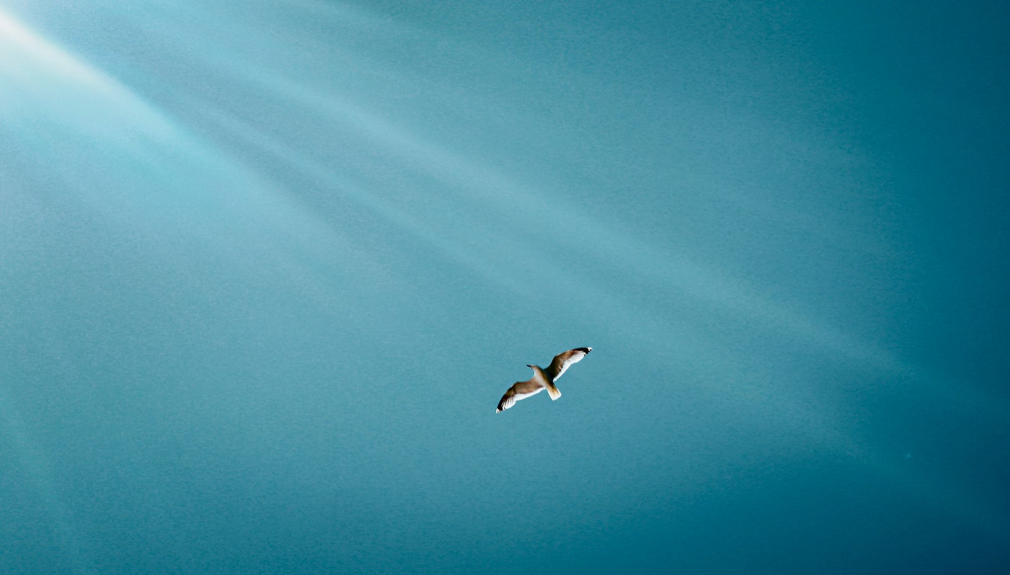 Forfait accompagnement individuel (1 à 4 mois)